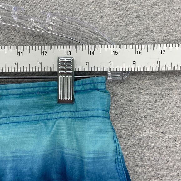 Speedo Swim Trunks Mens Small Blue Ombre Lined Board Shorts Beach Outdoor Lake - Picture 8 of 12